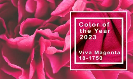 Viva Magenta — цвет 2023 года. Как использовать в интерьере
